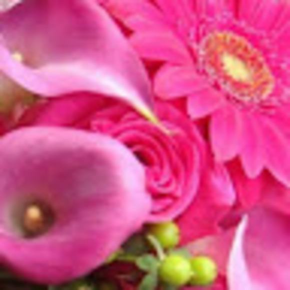 Meet your Posher, Starr - Picture 1 of 1